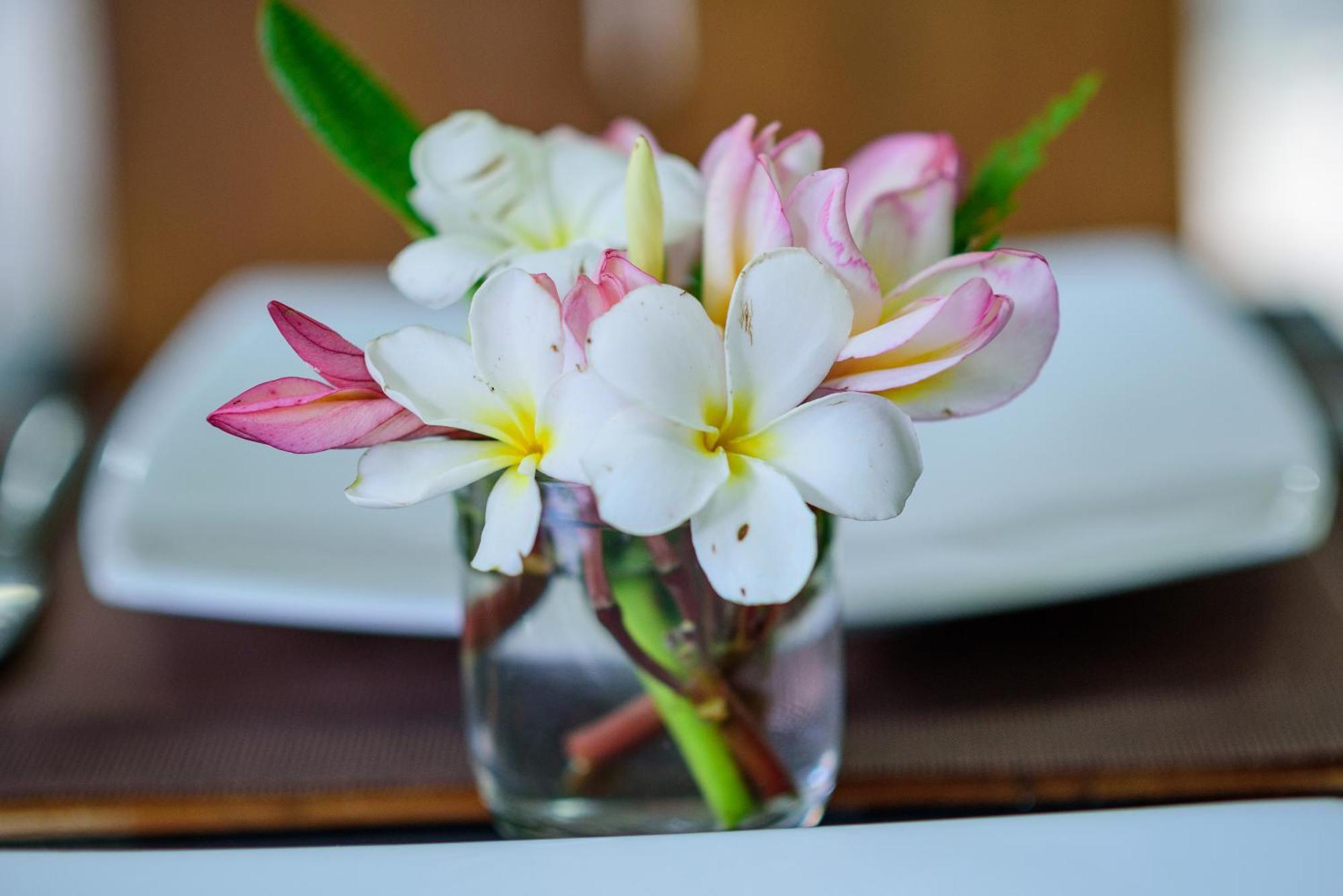 Bann Mangkud Khaolak Villa Khao Lak Buitenkant foto