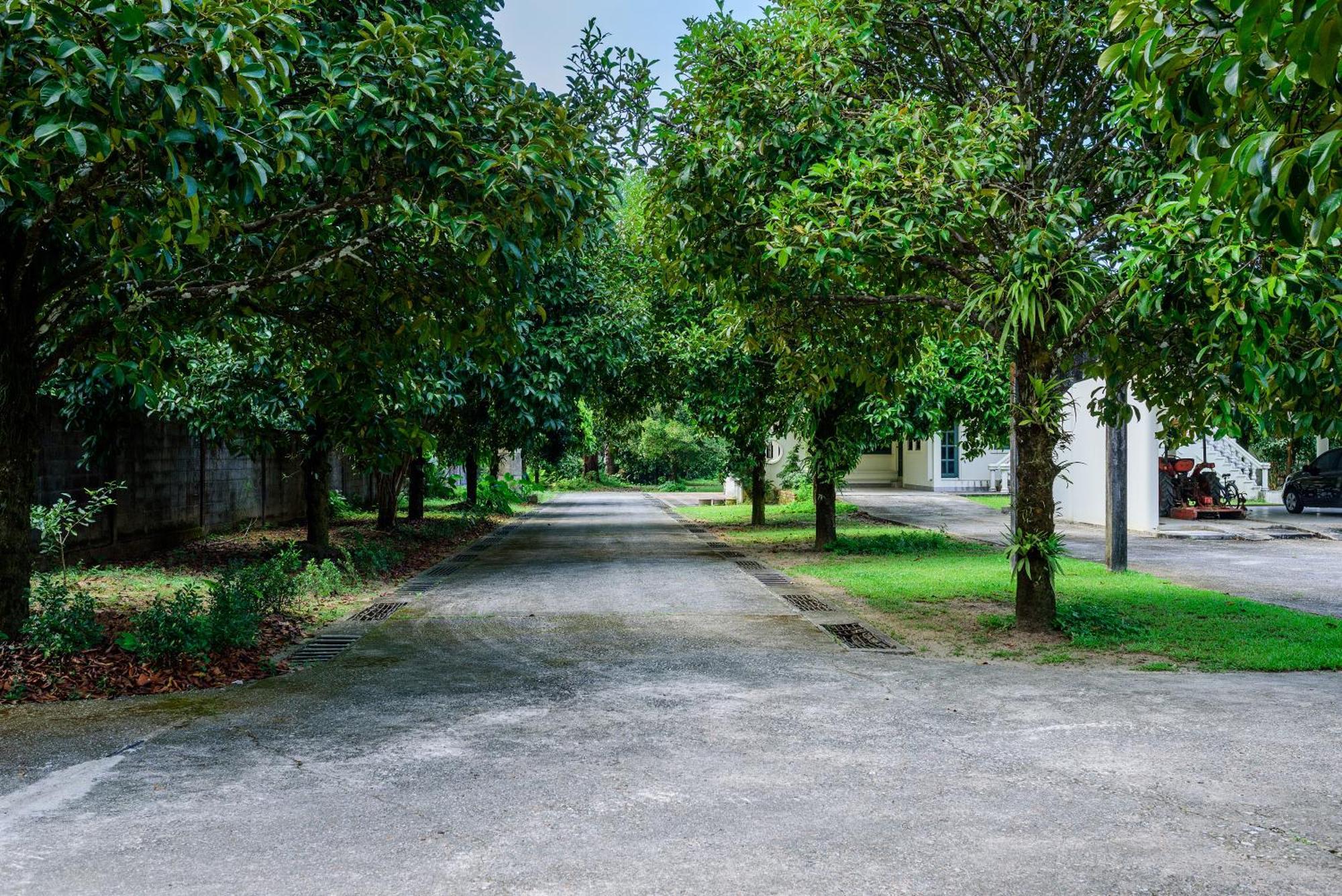 Bann Mangkud Khaolak Villa Khao Lak Buitenkant foto